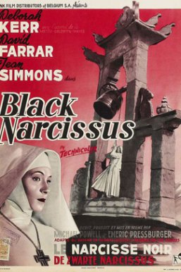 黑水仙 Black Narcissus