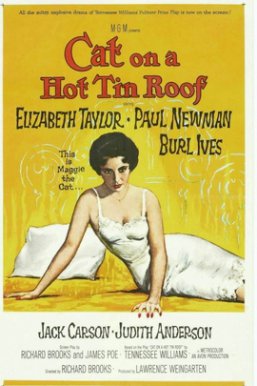 热铁皮屋顶上的猫/Cat on a Hot Tin Roof
