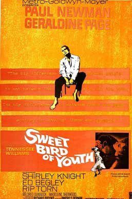 浓爱痴情/Sweet Bird of Youth