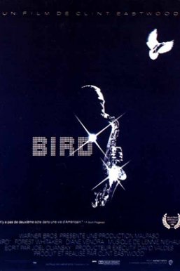 菜鸟帕克 Bird
