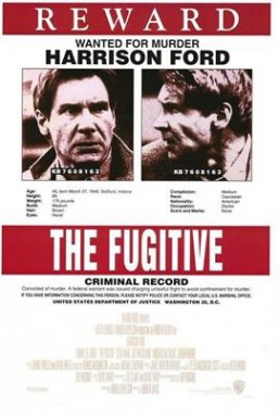 亡命天涯The Fugitive