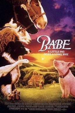 猪宝贝Babe