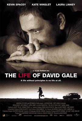 大卫·戈尔的一生/The Life of David Gale