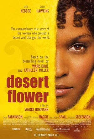 沙漠之花/Desert Flower