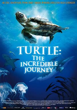 海龟奇妙之旅Turtle: The Incredible Journey