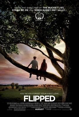 怦然心动/Flipped