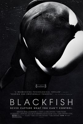 黑鲸/Blackfish