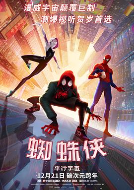 蜘蛛侠：平行宇宙/Spider-Man: Into the Spider-Verse