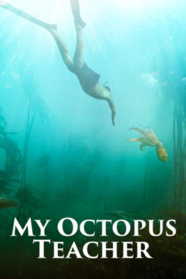 我的章鱼老师/My Octopus Teacher