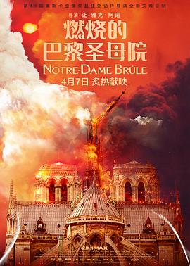 燃烧的巴黎圣母院Notre-Dame brûle