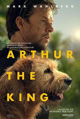 冠军亚瑟/Arthur the King