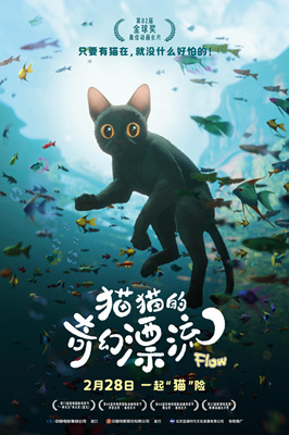 猫猫的奇幻漂流Straume